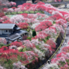 阿智村の花桃の里へバス旅！【１泊２日】