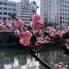 立春の朝に思うこと・・