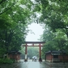 激雨、激渋