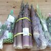 季節の楽しみ、山菜の買い出しに行きました。