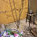 yuorhiyaのブログ