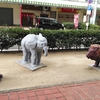 今週のお題「大人だから」