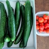 今朝の野菜収穫