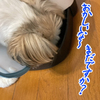 ５分の違いは大きいのだ