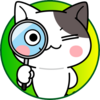 【表紙予想】有坂心花ちゃんピンの舞台が整った！？