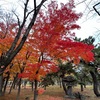 晩秋の合浦公園