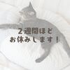２週間ほどお休みします！