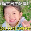 11月5日の動画