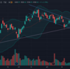 リアルトレード状況　2021/5/28(金)　