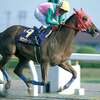 ３歳馬初の戴冠へ