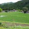 ゲリラ豪雨ＶＳ田圃軍団