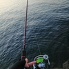 8ヶ月ぶりのエギング🎣