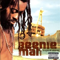 Beenie Man『Tropical Storm』(2002)｜The Neptunesと仕掛けた近未来型ダンスホール
