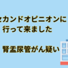 セカンドオピニオンに行って来ました　腎盂尿管がん疑い