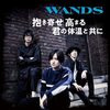 WANDS の新曲 抱き寄せ 高まる 君の体温と共に 歌詞