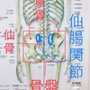 骨盤矯正の真実？？