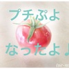 【ベランダ野菜】プランターのプチぷよが実ったよ♪