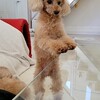 口に出すのは自由！！
