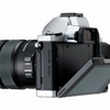 フラグシップなカメラCanon EOS-1D X・・・Olympus OM-D購入に向けての妄想その1