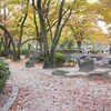 晩秋の芦原池公園と解散記者会見