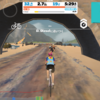 zwift その158 Dan Dieselさん、落車