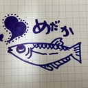 晴れときどきメダカさん