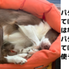パターンを当てはめるのではなく、パターンに当てはまったら使う