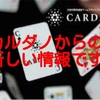 カルダノから新しい情報です。10月23日 そしてBTGの分岐が10月24日になる予定