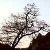 張り切りすぎで・・
