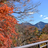 大源太山の紅葉がきれい