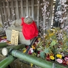 ポカポカ陽気の中、花とアートとウォーキング②