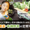 毎日の健康に！無農薬栽培の野菜🍅くだもの☆食品の通販（NO.119