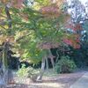 藪塚温泉まで