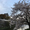 岸和田城 夜桜もステキです！ほか。