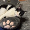 住めば都。