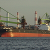 SHIOSAI