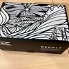 【24-25 REVOLT（リボルト）ゴーグル入荷】