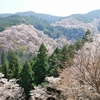 吉野山の桜を歩いて楽しむ｜吉野駅から一目千本までのルート・所要時間【体験レポ】
