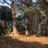 菅古墳  川崎市多摩区西生田