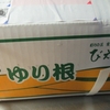 今度は美瑛の「ゆり根」が届いた