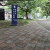 木の葉の波動