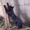 リラックスモード
