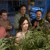 ぶっ飛んだファミリードラマ『Weeds〜ママの秘密』が最高に面白いワケ