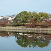 １１月の慈雲寺の慈雲寺