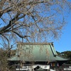 あらたまの年，年立つ，新年（にいどし）を詠んだ短歌１　　今年の初詣は藤沢遊行寺へ行つて来ました．　かくのみや息づきをらむあらたまの来経行（きへゆ）く年の限りしらずて　山上憶良　　新しき年の初めはいや年に雪踏み平（なら）し常かくにもが　大伴家持　　あら玉の年の三年を待ちわびてただ今宵こそ新枕すれ　在原業平　　年明くるあしたの日ざし届きけり雪に埋もるる谷々の家　島木赤彦　　今しいま年の来（きた）るとひむがしの八百（やほ）うづ潮に茜かがよふ　斎藤茂吉