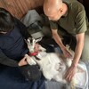 ひよの検査と『窓を開けて九州』