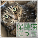 保護猫にっき