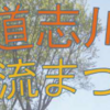 道志川清流まつり～三太の里　道志川で1日楽しみましょう！～　6月2日開催！