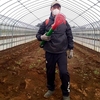 Easy, Safe and Healthy Farming Part-time Job! 【First Week of Walking Around】