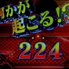 ついに拾っちゃった。 【Pあぶない刑事】